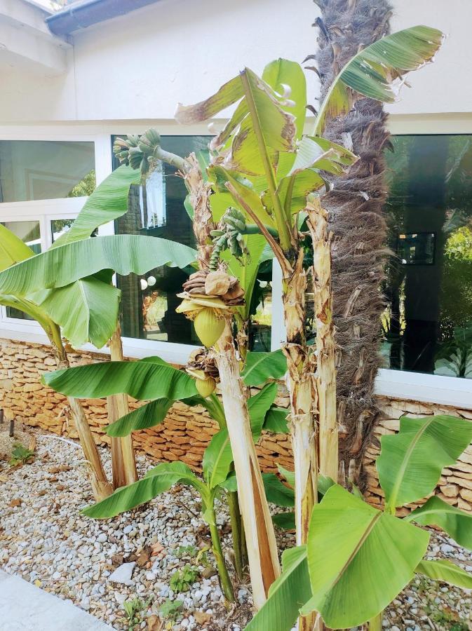 Hotel Minerva Medulin Luaran gambar